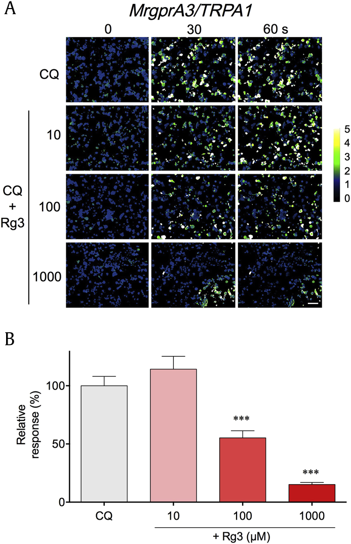 Fig. 2