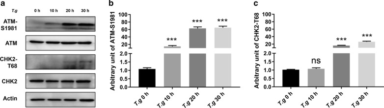 Fig. 4