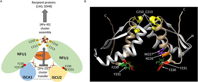 Figure 10