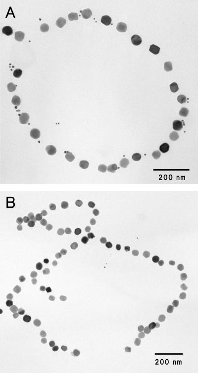 FIG. 5.