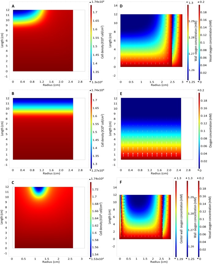 Fig 11