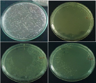 [Table/Fig-5]: