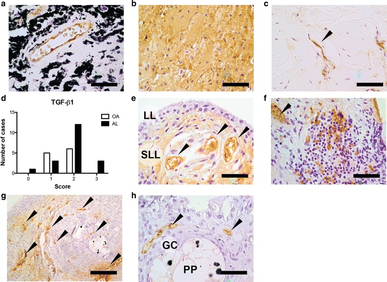 Fig. 7