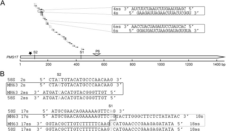 Fig. S7.