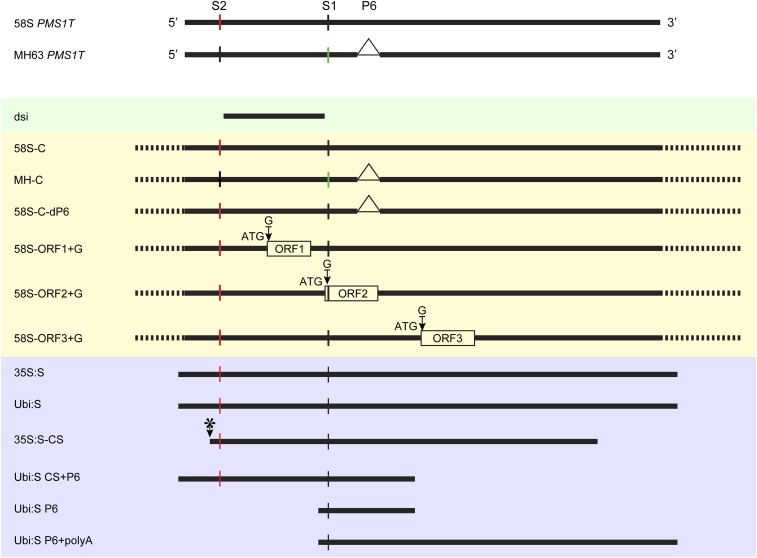 Fig. S4.