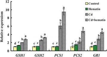 Fig. 9