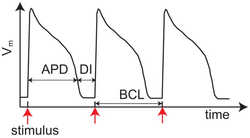 FIG. 1