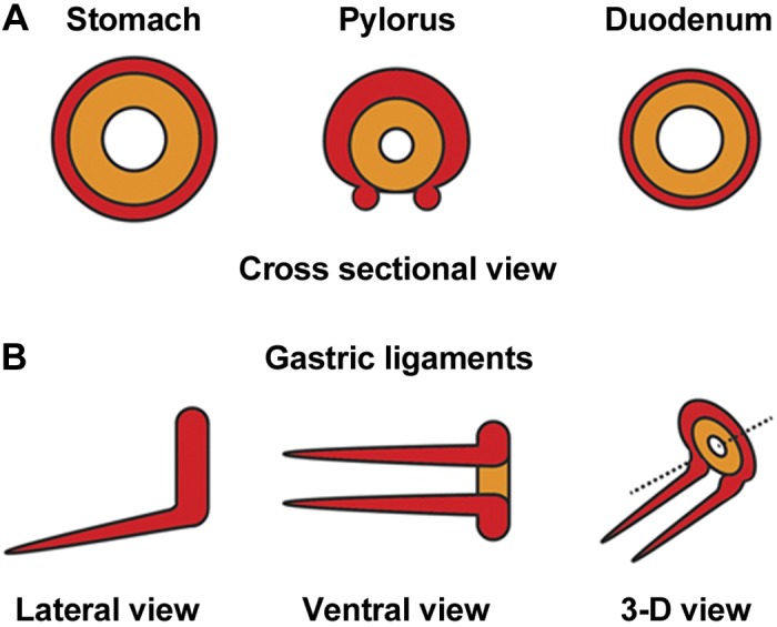 Fig. 5.