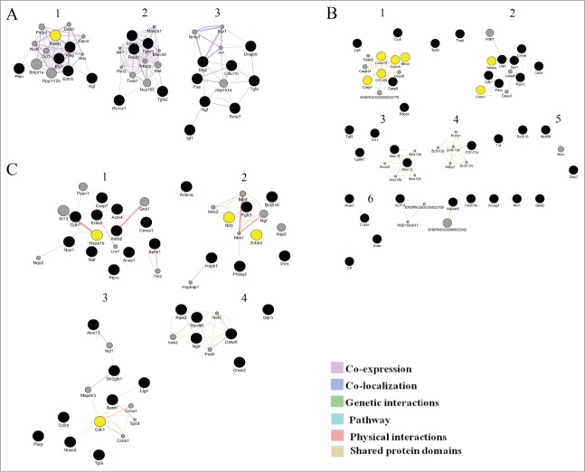 Figure 5.