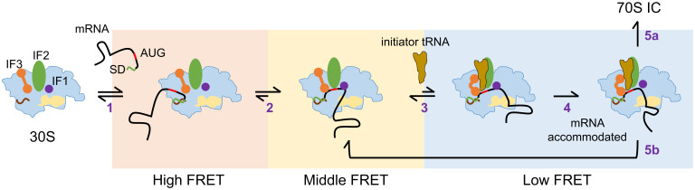 Fig. 8.