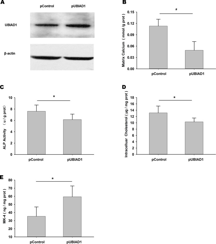 Fig 5