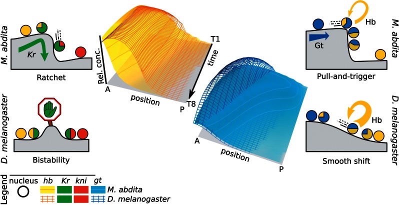 Fig. 7.