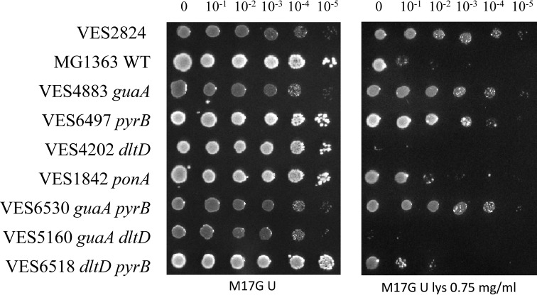 FIGURE 3.