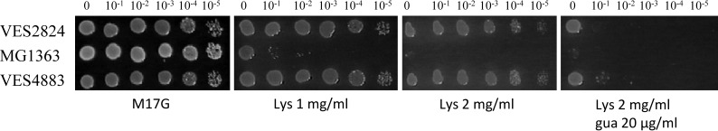 FIGURE 2.