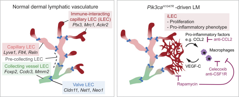 Figure 10.