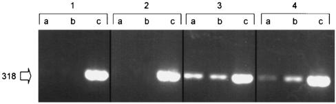 FIG. 5.