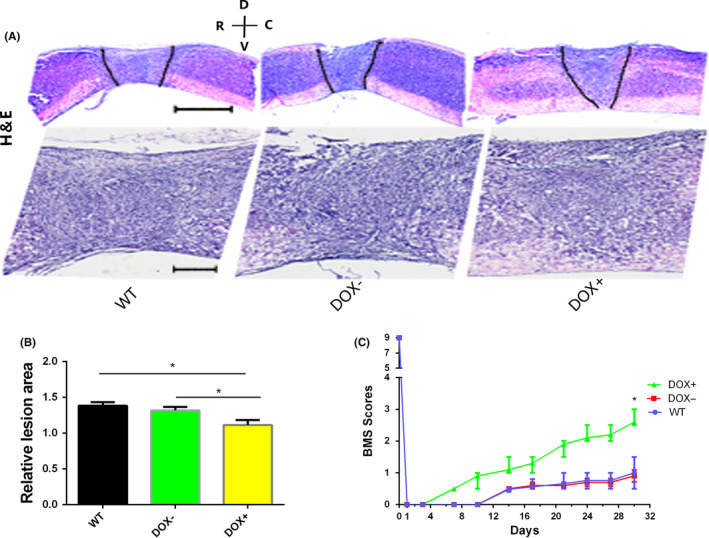 FIGURE 3