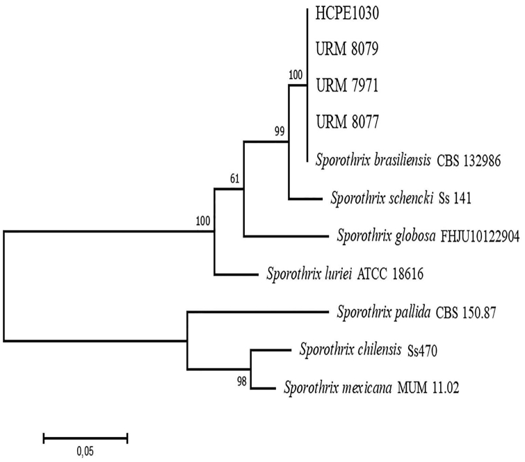 Fig 3