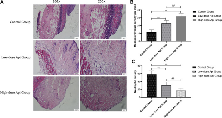 FIGURE 3