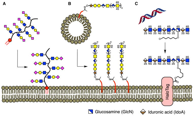 Figure 9