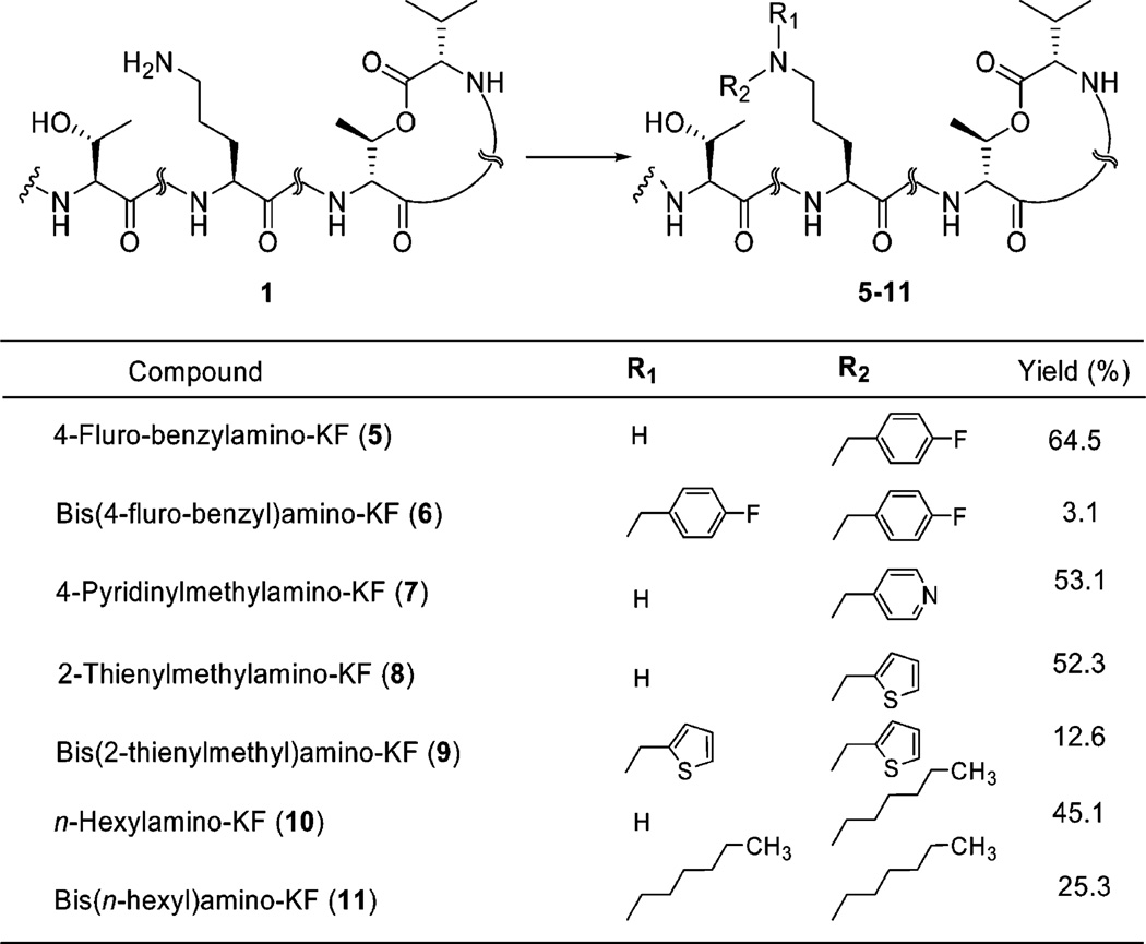 Scheme 3