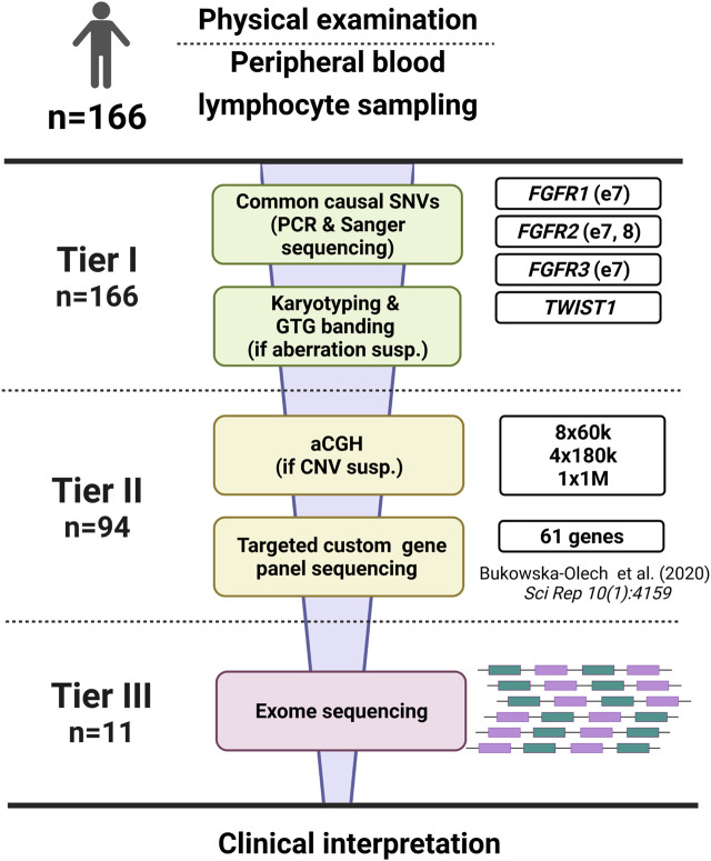 FIGURE 1