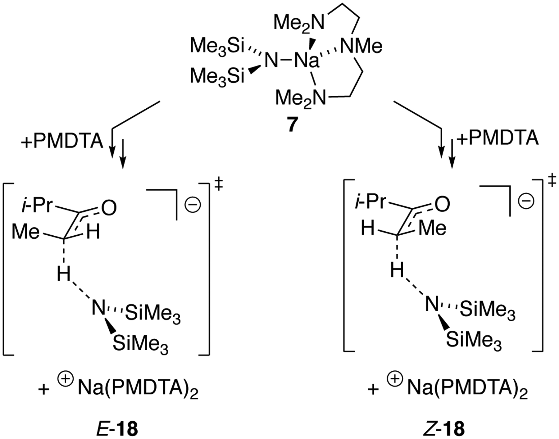 Ketone Enolization with Sodium Hexamethyldisilazide: Solvent-and ...