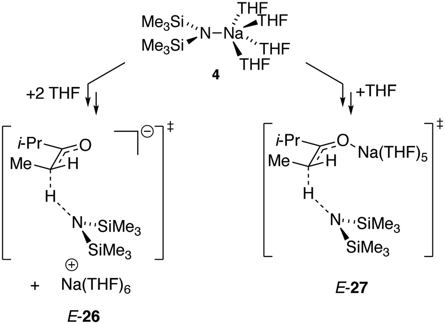 Ketone Enolization with Sodium Hexamethyldisilazide: Solvent-and ...