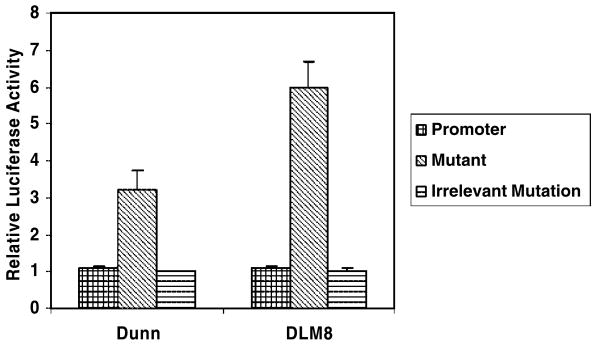 FIGURE 4