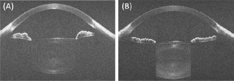 Fig. 8