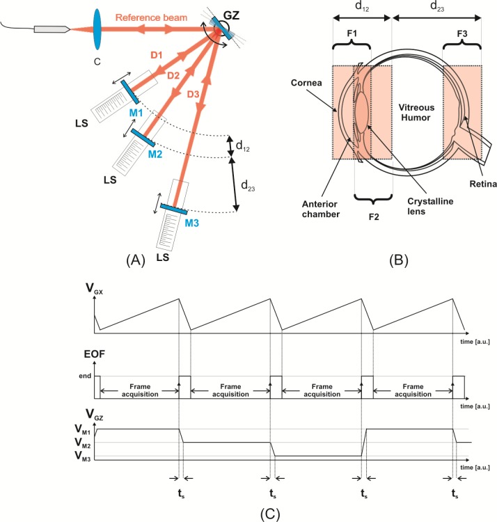 Fig. 3