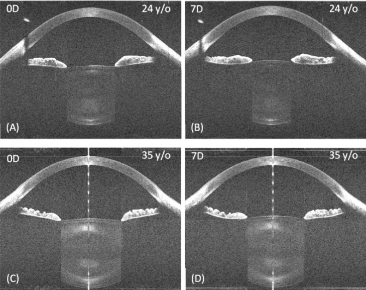 Fig. 7