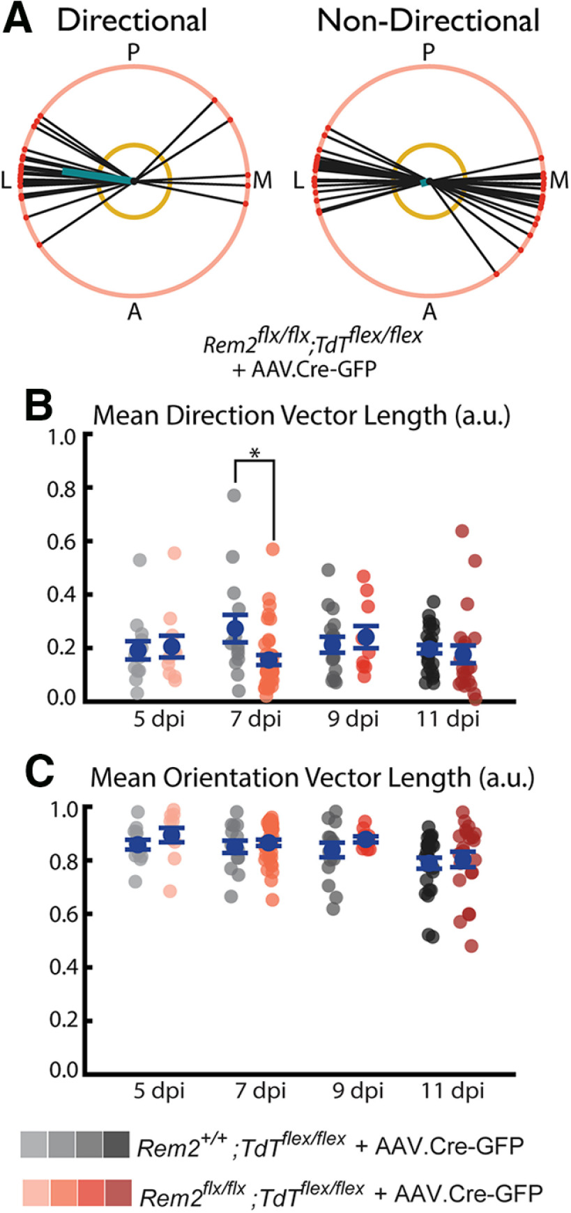 Figure 12.