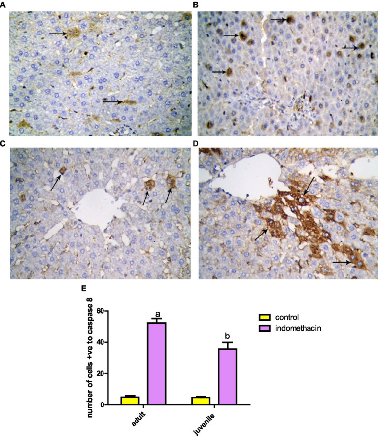 Figure 18