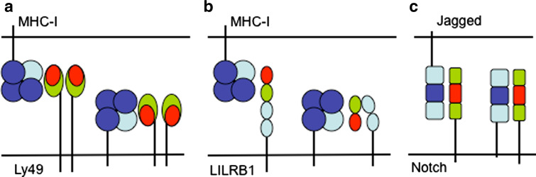 Fig. 1