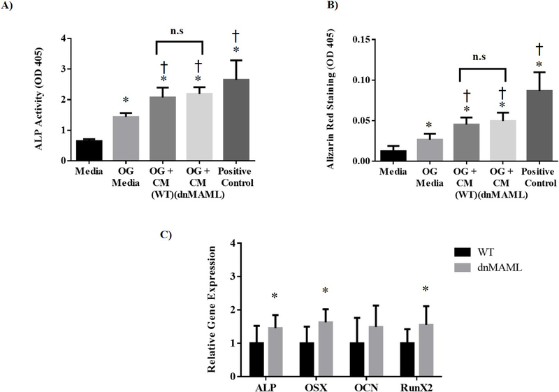 Figure 6.