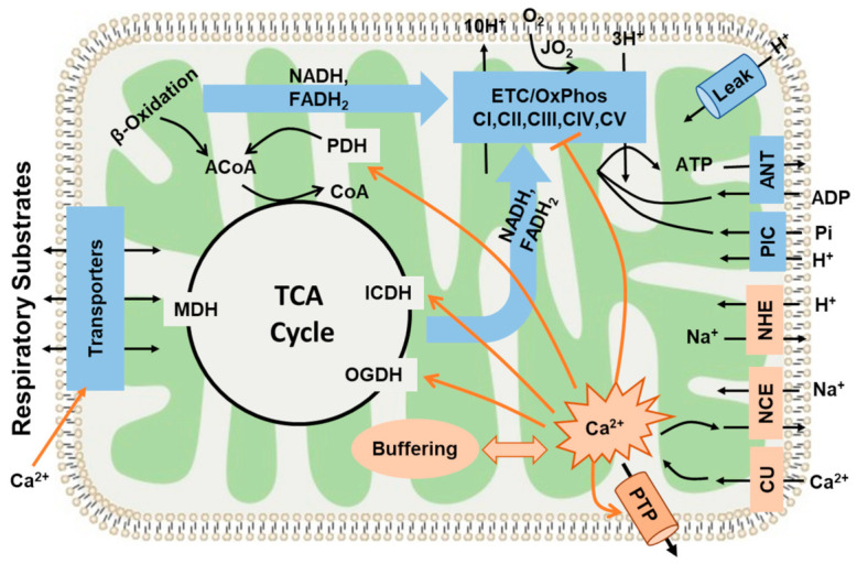 Figure 10