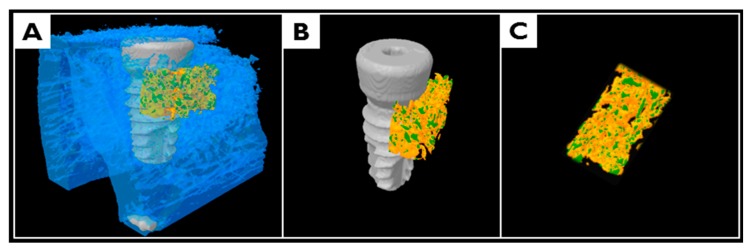 Figure 13