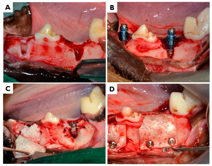 Figure 12