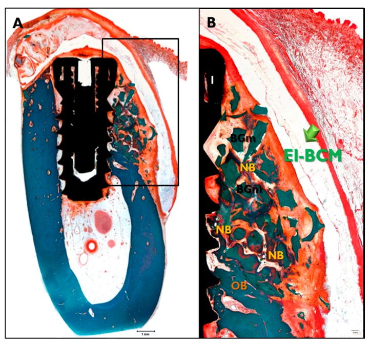 Figure 9