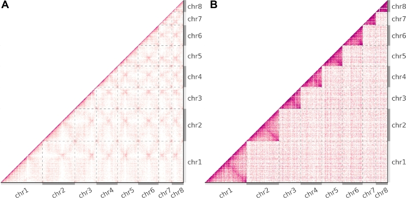 Figure 6: