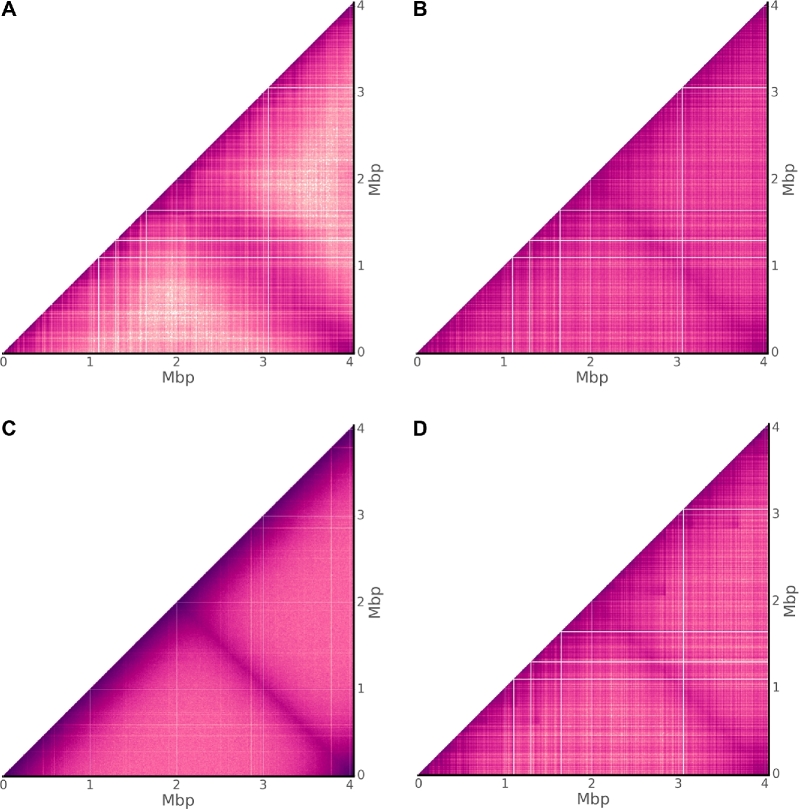 Figure 5: