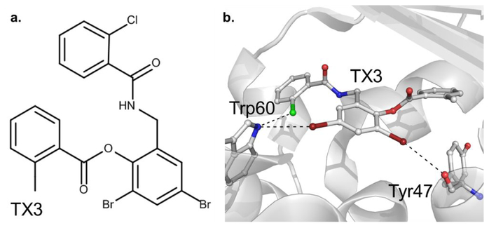 Figure 5.