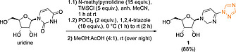 Scheme 2