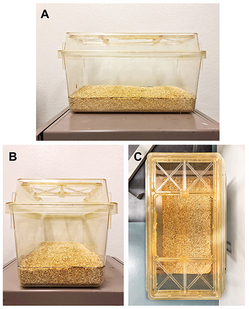 Figure 2.