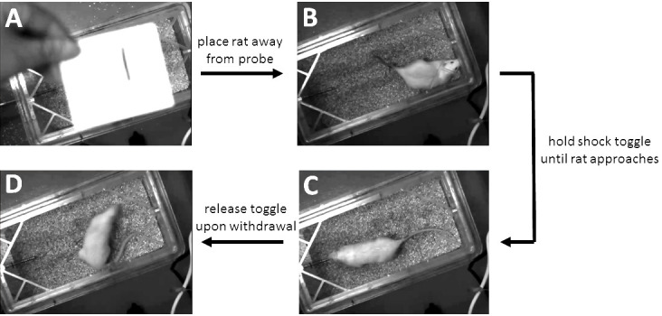 Figure 5.