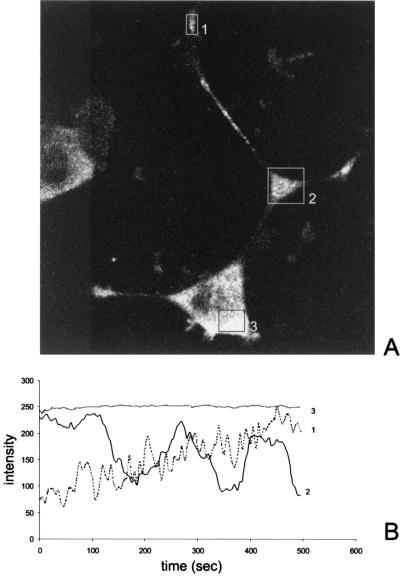 FIG. 3.