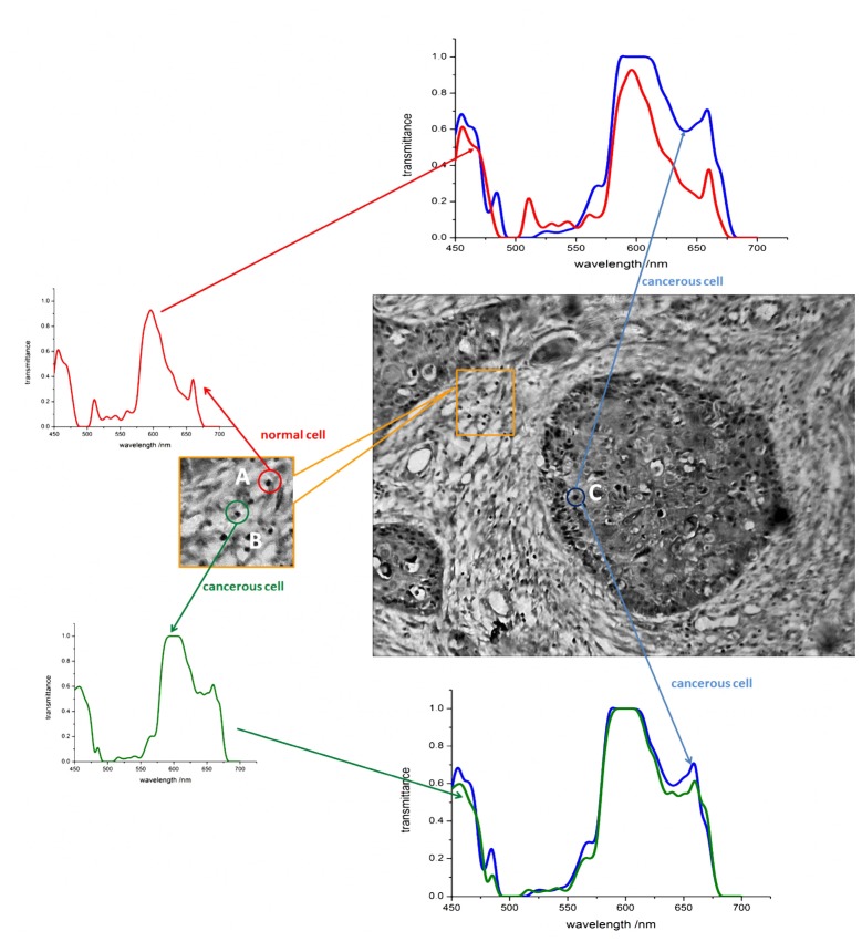 Fig. 7