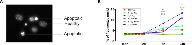 Fig 3