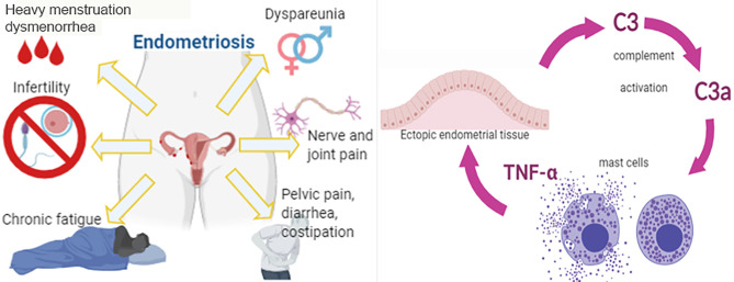 Graphical Abstract